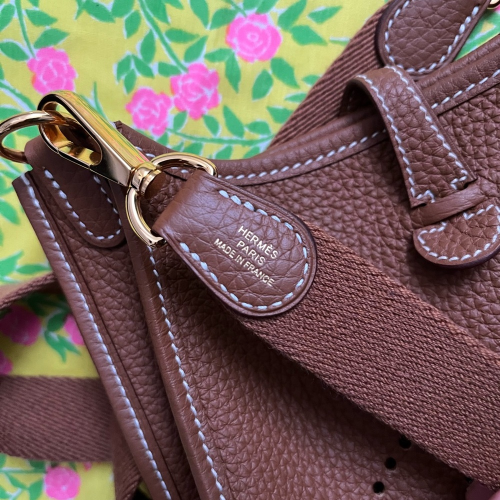 Hermes Gold on Gold TPM Evelyne Mini - Picture 5 of 16